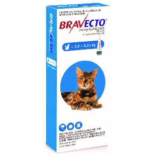 Bravecto Plus Cat 250 mg 2.8 - 6.25 kg 1 x 0.89 ml