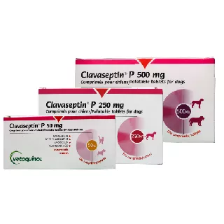 Clavaseptin P 250 mg /Blíster 10 tabletas