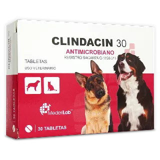 Clindacin 30 30 tabletas
