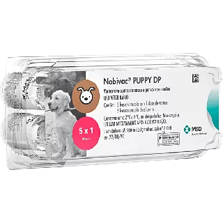 Nobivac Puppy DP + Solvente 1 ds