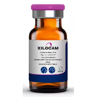 Xilocam Iny. 5 mg 10 ml