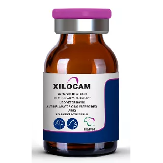 Xilocam Iny. 5 mg 20 ml